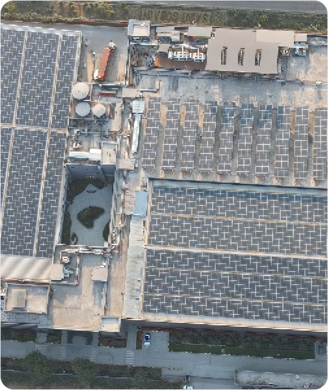 Greening Vision